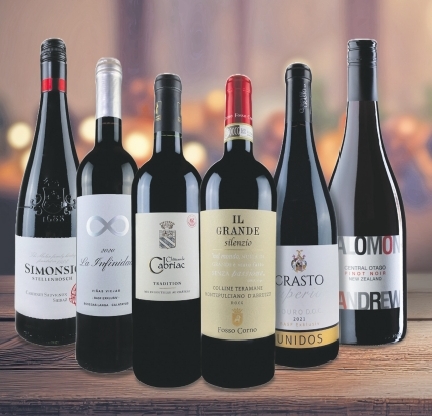 Festtagsrotweine aus der BASF-Weinkellerei 2024 Festtagsrotweine aus der BASF-Weinkellerei 2024