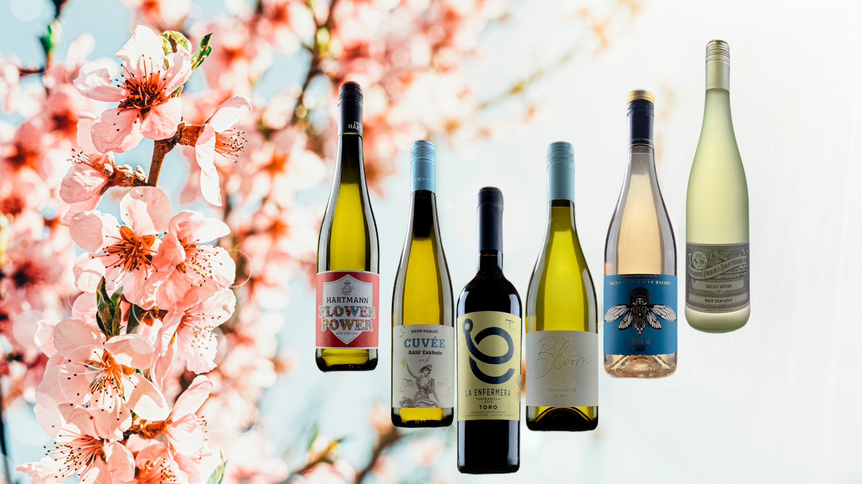 Frühlingsweinpaket aus dem BASF-Weinkeller