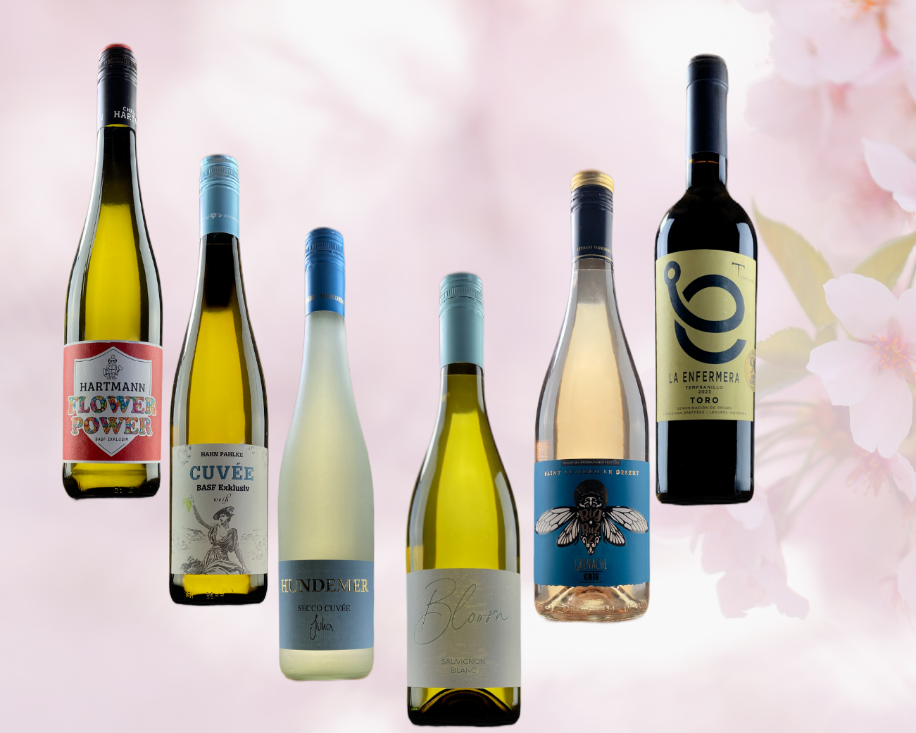 Frühlingsweinpaket aus dem  BASF-Weinkeller