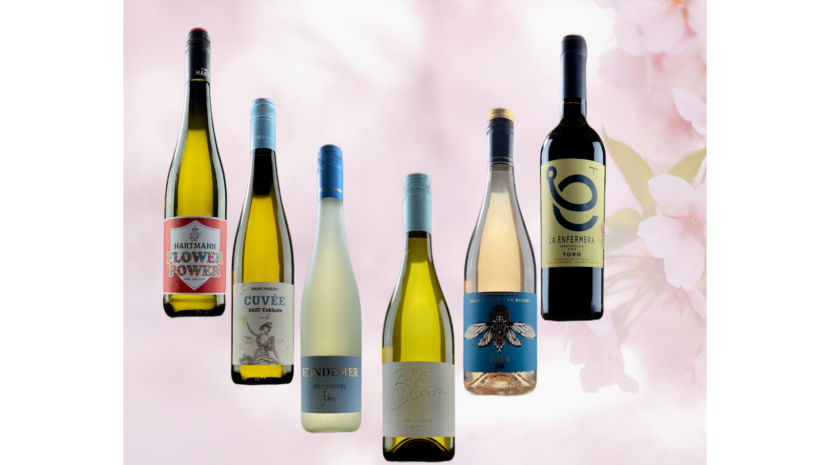 Frühlingsweinpaket aus dem  BASF-Weinkeller